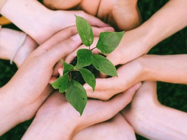 Aligning Value, Teaming, and Objectives for Business&nbsp;Success