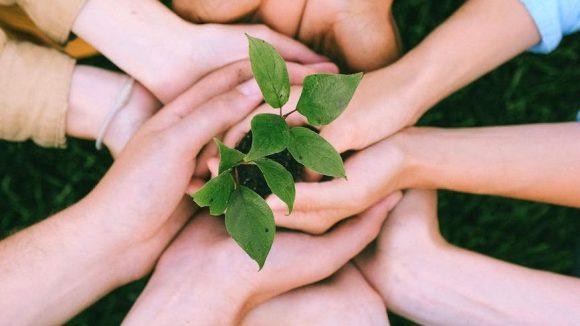 Aligning Value, Teaming, and Objectives for Business&nbsp;Success